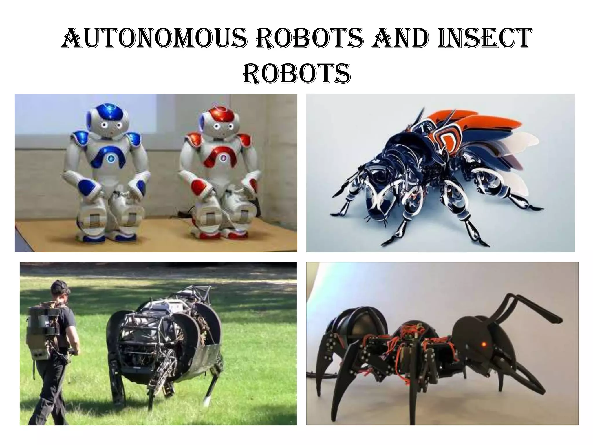 Autonomous robots and insect
robots
 