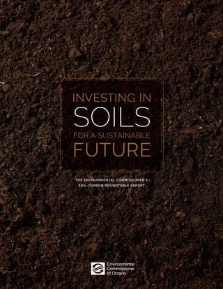 investing in soils for a sustainable future 1
Investing in
soilsfor a sustainable
future
The Environmental Commissioner’s
soil-carbon Roundtable report
 