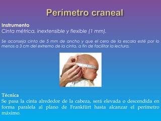 Instrumento
Cinta métrica, inextensible y flexible (1 mm).
Se aconseja cinta de 5 mm de ancho y que el cero de la escala esté por lo
menos a 3 cm del extremo de la cinta, a fin de facilitar la lectura.
Técnica
Se pasa la cinta alrededor de la cabeza, será elevada o descendida en
forma paralela al plano de Frankfürt hasta alcanzar el perímetro
máximo.
 