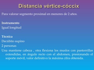 Para valorar segmento proximal en menores de 2 años.
Instrumento
Igual longitud
Técnica
Decúbito supino
2 personas
Una mantiene cabeza , otra flexiona los muslos con pantorrillas
extendidas, en ángulo recto con el abdomen, presionando el
soporte móvil, valor definitivo la máxima cifra obtenida.
 