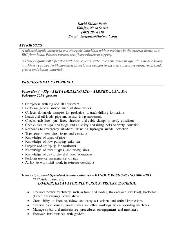 Resume David Pottie