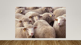 Μάθημα λοιμώξεις