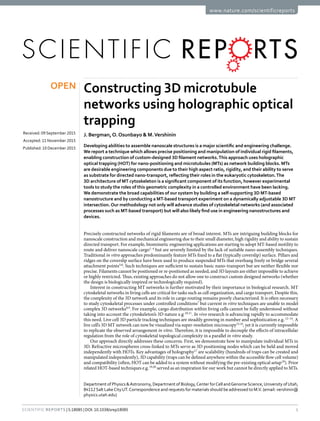1Scientific Reports | 5:18085 | DOI: 10.1038/srep18085
www.nature.com/scientificreports
Constructing 3D microtubule
networks using holographic optical
trapping
J. Bergman,O. Osunbayo & M. Vershinin
Developing abilities to assemble nanoscale structures is a major scientific and engineering challenge.
We report a technique which allows precise positioning and manipulation of individual rigid filaments,
enabling construction of custom-designed 3D filament networks.This approach uses holographic
optical trapping (HOT) for nano-positioning and microtubules (MTs) as network building blocks. MTs
are desirable engineering components due to their high aspect ratio, rigidity, and their ability to serve
as substrate for directed nano-transport, reflecting their roles in the eukaryotic cytoskeleton.The
3D architecture of MT cytoskeleton is a significant component of its function, however experimental
tools to study the roles of this geometric complexity in a controlled environment have been lacking.
We demonstrate the broad capabilities of our system by building a self-supporting 3D MT-based
nanostructure and by conducting a MT-based transport experiment on a dynamically adjustable 3D MT
intersection.Our methodology not only will advance studies of cytoskeletal networks (and associated
processes such as MT-based transport) but will also likely find use in engineering nanostructures and
devices.
Precisely constructed networks of rigid filaments are of broad interest. MTs are intriguing building blocks for
nanoscale construction and mechanical engineering due to their small diameter, high rigidity and ability to sustain
directed transport. For example, biomimetic engineering applications are starting to adopt MT-based motility to
route and deliver nanoscale cargo1–4
but are severely limited by the lack of suitable nano-assembly techniques.
Traditional in vitro approaches predominantly feature MTs fixed to a flat (typically coverslip) surface. Pillars and
ridges on the coverslip surface have been used to produce suspended MTs that overhang freely or bridge several
attachment points5,6
. Such techniques are sufficient to sustain basic nano-transport but are neither flexible nor
precise. Filaments cannot be positioned or re-positioned as needed, and 3D layouts are either impossible to achieve
or highly restricted. Thus, existing approaches do not allow one to construct custom designed networks (whether
the design is biologically inspired or technologically required).
Interest in constructing MT networks is further motivated by their importance in biological research. MT
cytoskeletal networks in living cells are critical for tasks such as cell organization, and cargo transport. Despite this,
the complexity of the 3D network and its role in cargo routing remains poorly characterized. It is often necessary
to study cytoskeletal processes under controlled conditions7
but current in vitro techniques are unable to model
complex 3D networks8,9
. For example, cargo distribution within living cells cannot be fully understood without
taking into account the cytoskeleton’s 3D nature e.g. 10,11
. In vivo research is advancing rapidly to accommodate
this need. Live cell 3D particle tracking techniques are steadily growing in number and sophistication e.g. 12–14
. A
live cell’s 3D MT network can now be visualized via super-resolution microscopy15,16
, yet it is currently impossible
to replicate the observed arrangement in vitro. Therefore, it is impossible to decouple the effects of intracellular
regulation from the role of cytoskeletal topological complexity in a parallel in vitro study.
Our approach directly addresses these concerns. First, we demonstrate how to manipulate individual MTs in
3D. Refractive microspheres cross-linked to MTs serve as 3D positioning nodes which can be held and moved
independently with HOTs. Key advantages of holography17
are scalability (hundreds of traps can be created and
manipulated independently), 3D capability (traps can be defined anywhere within the accessible flow cell volume)
and compatibility (often, HOT can be added to a system without modifying the pre-existing optical setup18
). Prior
related HOT-based techniques e.g. 19,20
served as an inspiration for our work but cannot be directly applied to MTs.
Department of Physics &Astronomy, Department of Biology,Center forCell andGenomeScience,University ofUtah,
84112Salt LakeCityUT.Correspondence and requests for materials should be addressed to M.V. (email: vershinin@
physics.utah.edu)
received: 09 September 2015
accepted: 11 November 2015
Published: 10 December 2015
OPEN
 