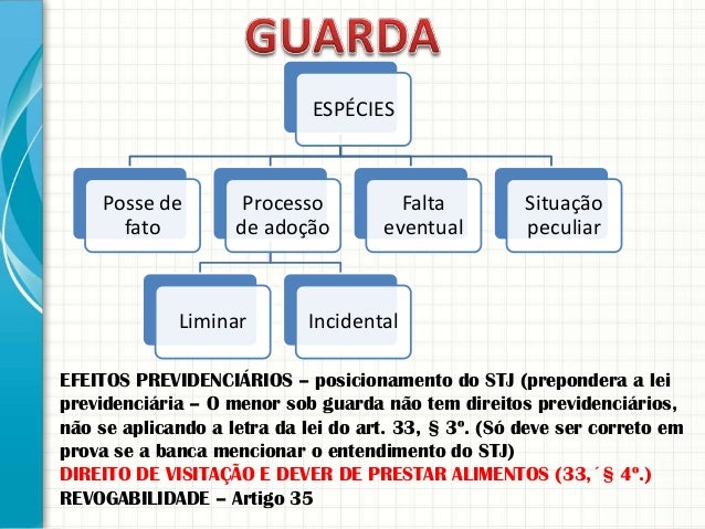 Artigo 33 eca