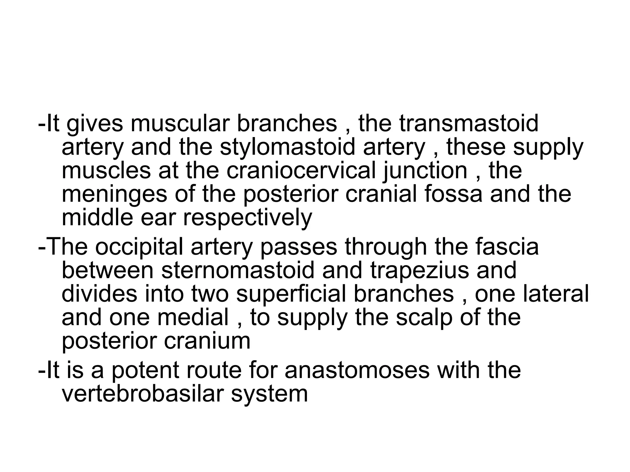 Anatomy of the external carotid artery (ECA) | PPT