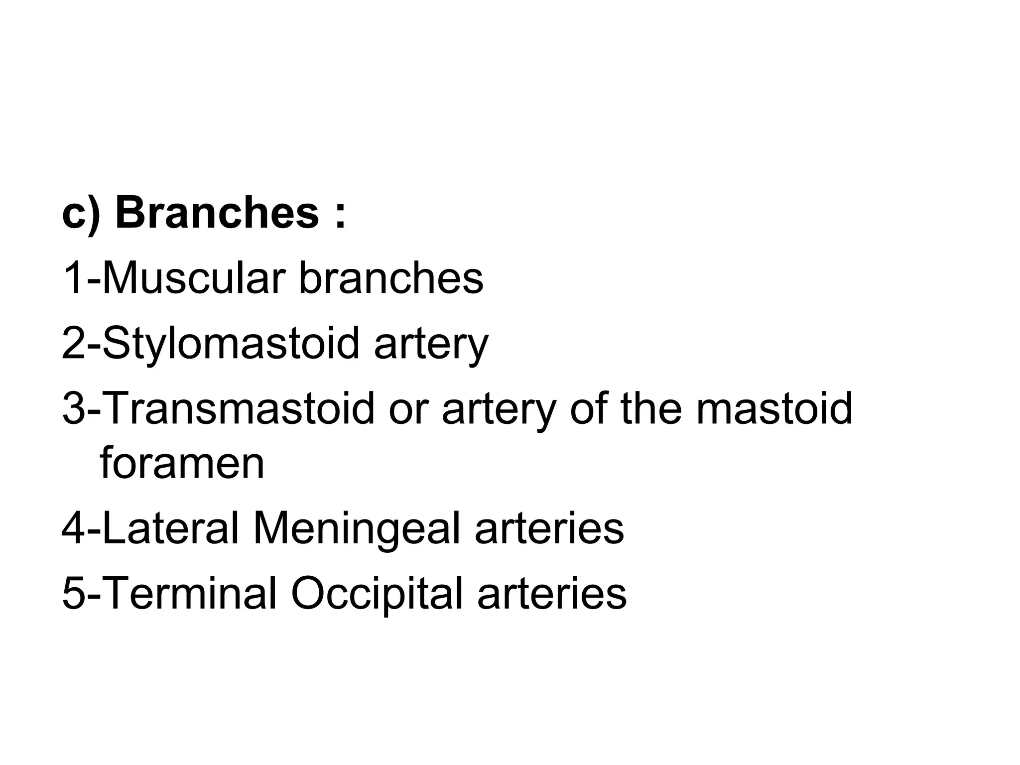 Anatomy of the external carotid artery (ECA) | PPT