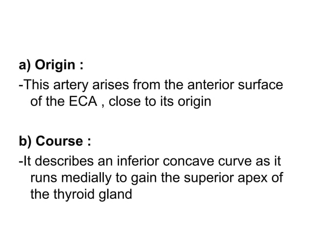 Anatomy of the external carotid artery (ECA) | PPT | Death, Injury, or ...