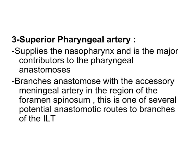 Anatomy of the external carotid artery (ECA) | PPT | Death, Injury, or ...