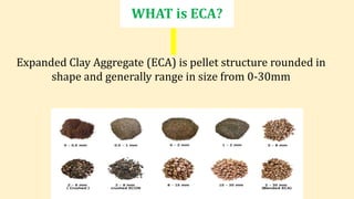 Expanded Clay Aggregate ppt | PPTX