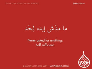 Egyptian Colloquial Arabic expressions