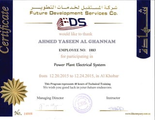POWER PLANT ELECTRICAL SYSTEM
