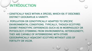 INTRODUCTION
• GENETICALLY RACE WITHIN A SPECIES, WHICH ISK IT DESCRIBES
DISTINCT GEOGRAPLUE A VARIETY.
• POPULATION OR GENOTYPICALLY ADAPTED TO SPECIFIC
ENVIRONMENTAL CONDITIONS. TYPICALLY, THOUGH ECOTYPES
EXHIBIT PHENOTYPIC DIFFERENCES (SUCH AS IN MORPHOLOGY OR
PHYSIOLOGY) STEMMING FROM ENVIRONMENTAL HETEROGENEITY,
THEY ARE CAPABLE OF INTERBREEDING WITH OTHER
GEOGRAPHICALLY ADJACENT ECOTYPES WITHOUT LOSS OF
FERTILITY OR VIGOR.
 