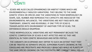 CONTI
• ECADS ARE ALSO CALLED EPHARMONES OR HABITAT FORMS WHICH ARE
ENVIRONMENTALLY INDUCED VARIATIONS. THEY BELONG TO THE SAME
GENETIC STOCK OR SPECIES AND THE VARIATIONS IN THEIR MORPHOLOGY (IN
SHAPE, SIZE, NUMBER AND REPRODUCTIVE CAPACITY) ARE INDUCED BY THE
ENVIRONMENTAL INFLUENCES. THE VARIATIONS ARE NOT FIXED BATK ARE
TEMPORARY, SOMATIC AND REVERSIBLE. IF ONE TYPE OF ECAD IS
TRANSPLANTED INTO ENVIRONMENT OF ANOTHER TYPE OF ECAD, THE
DIFFERENCES WOULD DISAPPEAR.
• THESE MORPHOLOGICAL VARIATIONS ARE NOT PERMANENT BECAUSE THE
GENETIC COMPOSITION OF ECADS IS NOT AFFECTED AND SO THEY ARE
IDENTICAL IN THEIR GENETIC BEHAVIOUR AND INTER-FERTILE.
• THE VARIANTS OR ECOPHENES MAY DIFFER TO SUCH AN EXTENT THAT THEY
CAN BE TREATED AS SEPARATE SPECIES. EUPHORBIA PLANTS GROWING IN THE
GRASSLAND ARE PROSTRATE AND PROFUSELY BRANCHED WHILE HE PLANTS OF
THE SAME SPECIES GROWING ON THE FOOTPATHS ARE COMPACT SMALL LEAVES
 
