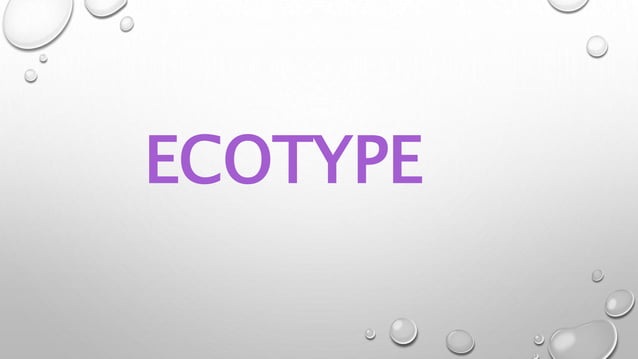 Ecades and ecotype | PPTX | Genetics | Science