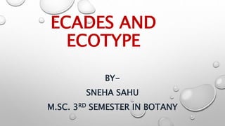 ECADES AND
ECOTYPE
BY-
SNEHA SAHU
M.SC. 3RD SEMESTER IN BOTANY
 
