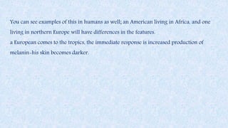 You can see examples of this in humans as well; an American living in Africa, and one
living in northern Europe will have differences in the features.
a European comes to the tropics, the immediate response is increased production of
melanin-his skin becomes darker.
 