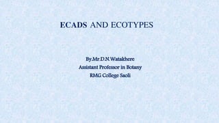 ECADS AND ECOTYPES
By.Mr.D.N.Watakhere
Assistant Professor in Botany
RMG College Saoli
 