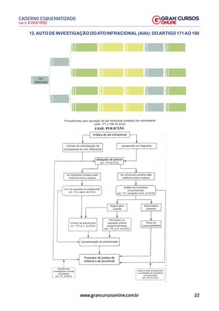 22
Lei n. 8.069/1990
CADERNO ESQUEMATIZADO
www.grancursosonline.com.br
12.AUTO DE INVESTIGAÇÃO DOATO INFRACIONAL(AIAI): DOARTIGO 171AO 190
￼
 