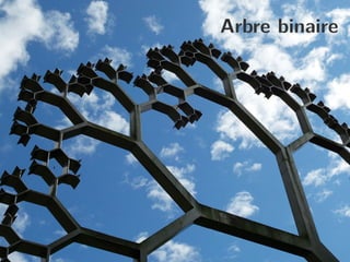 Arbre binaire
 