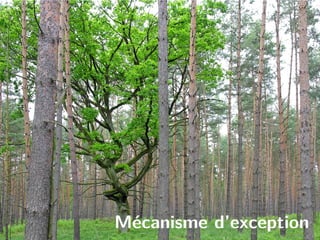 Mécanisme d’exception
 
