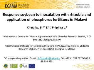 Response soybean to inoculation with rhizobia and 
application of phosphorus fertilizers in Malawi 
Chataika, B. Y. E.1*, Phiphira L.2 
1International Centre for Tropical Agriculture (CIAT), Chitedze Research Station, P. O. 
Box 158, Lilongwe, Malawi 
2International Institute for Tropical Agriculture (IITA), N2Africa Project, Chitedze 
Research Station, P. O. Box 30258, Lilongwe 3, Malawi 
*Corresponding author. E-mail: B.Chataika@cgiar.org. Tel: +265 1 707 022/+265 8 
88 894 595. 
 