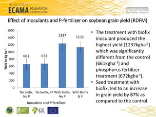Response of major grain legumes to inoculation with rhizobia and ...