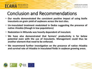 Response of major grain legumes to inoculation with rhizobia and ...