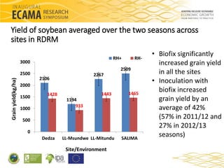 Response of major grain legumes to inoculation with rhizobia and ...