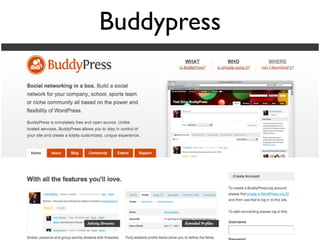 Buddypress
 