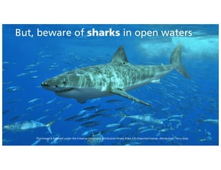 This image is licensed under the Creative Commons Attribution-Share Alike 3.0 Unported license. Attribution: Terry Goss
But, beware of sharks in open waters
 