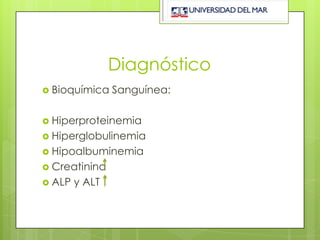 Diagnóstico
 Bioquímica    Sanguínea:

 Hiperproteinemia
 Hiperglobulinemia
 Hipoalbuminemia
 Creatinina
 ALP   y ALT
 