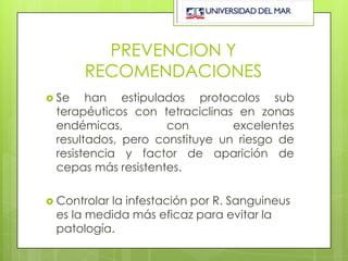 PREVENCION Y
       RECOMENDACIONES
 Se   han estipulados protocolos sub
 terapéuticos con tetraciclinas en zonas
 endémicas,         con        excelentes
 resultados, pero constituye un riesgo de
 resistencia y factor de aparición de
 cepas más resistentes.

 Controlar
          la infestación por R. Sanguineus
 es la medida más eficaz para evitar la
 patología.
 