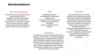 Neurotransmisores:
Adrenalina (epinefrina)
La adrenalina es un neurotransmisor que
cumple funciones físicas y
psicológicas mediante la activación de
mecanismos de supervivencia. Está
relacionada con las situaciones en las que
tenemos que permanecer en estado
de alerta y participa en la actividad de la
presión arterial y el ritmo circulatorio
Glutamato
Este neurotransmisor es uno de los
excitatorios más importantes de todo el
sistema nervioso central. El glutamato es
el mediador principal de la información
sensorial, motora, cognitiva y emocional.
Por lo tanto, interfiere en la memoria y,
además, estimula varios procesos
mentales importantes.
El glutamato está presente en el 80-90%
de la sinapsis del cerebro. Su
exceso en el organismo está relacionado
con los derrames cerebrales, la
epilepsia y la enfermedad lateral
amiotrófica.
GABA
El GABA (ácido gamma-
aminobutírico) es un mensajero
inhibidor de los
neurotransmisores excitatorios. Se
relaciona con el control de las
habilidades
motoras, la visión y funciones
corticales.
Acetilcolina
La acetilcolina es el primer neurotransmisor que se
descubrió, en el año 1921, y se encuentra distribuido
ampliamente por la sinapsis del sistema nervioso
central. Participa en el paso de sueño a vigilia y en
la memoria. Este se distingue como excitatorio de la
unión neuromuscular del músculo esquelético; es
decir, influye en la estimulación de los músculos.
Sin embargo, es inhibitorio en el corazón, puesto
que reduce la frecuencia cardíaca
 