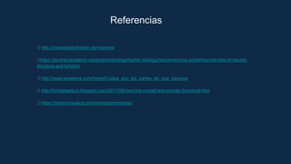 Referencias
http://conceptodefinicion.de/neurona/
https://es.khanacademy.org/science/biology/human-biology/neuronnervous-system/a/overview-of-neuron-
structure-and-function
http://www.lareserva.com/home/Cuales_son_las_partes_de_una_neurona
http://biologiaaduni.blogspot.com/2011/09/neurona-unidad-estructuraly-funcional.html
https://mejorconsalud.com/neurotransmisores/
 