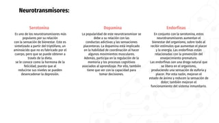 Neurotransmisores:
Serotonina
Es uno de los neurotransmisores más
populares por su relación
con la sensación de bienestar. Este es
sintetizado a partir del triptófano, un
aminoácido que no es fabricado por el
cuerpo, pero que se puede obtener a
través de la dieta.
se le conoce como la hormona de la
felicidad, puesto que al
reducirse sus niveles se pueden
desencadenar la depresión.
Dopamina
La popularidad de este neurotransmisor se
debe a su relación con las
conductas adictivas y las sensaciones
placenteras. La dopamina está implicado
en la habilidad de coordinación al hacer
algunos movimientos musculares.
Además, participa en la regulación de la
memoria y los procesos cognitivos
asociados al aprendizaje. Por ello, también
tiene que ver con la capacidad para
tomar decisiones.
Endorfinas
En conjunto con la serotonina, estos
neurotransmisores aumentan el
bienestar del organismo, sobre todo al
recibir estímulos que aumentan el placer
y la energía. Las endorfinas están
relacionadas con la prevención del
envejecimiento prematuro.
Las endorfinas son una droga natural que
se libera en el organismo,
produciendo una sensación de euforia y
placer. Por esta razón, mejoran el
estado de ánimo y reducen la sensación de
dolor; también mejoran el
funcionamiento del sistema inmunitario.
 