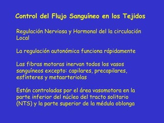 Control del Flujo Sanguíneo en los Tejidos  Regulación Nerviosa y Hormonal del la circulación Local La regulación autonómica funciona rápidamente Las fibras motoras inervan todos los vasos sanguíneos excepto: capilares, precapilares, esfínteres y metaarteriolas Están controladas por el área vasomotora en la parte inferior del núcleo del tracto solitario (NTS) y la parte superior de la m é dula oblonga 