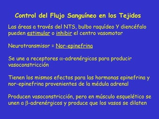 Control del Flujo Sanguíneo en los Tejidos  Las áreas a través del NTS, bulbo raquídeo Y diencéfalo pueden  estimular  o  inhibir  el centro vasomotor Neurotransmisor =  Nor - epinefrina Se une a receptores   -adrenérgicos para producir vasoconstricción Tienen los mismos efectos para las hormonas epinefrina y nor-epinefrina provenientes de la médula adrenal Producen vasoconstricción, pero en músculo esquelético se unen a   -adrenér g icos y produce que los vasos se dilaten 