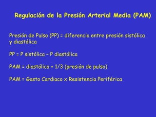 Regulación de la Presión Arterial Media (PAM) Presión de Pulso (PP) = diferencia entre presión sistólica y diastólica PP = P sistólica – P diastólica PAM = diastólica + 1/3 (presión de pulso) PAM = Gasto Cardiaco x Resistencia Periférica 