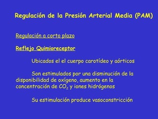 Regulación de la Presión Arterial Media (PAM) Regulación a corto plazo Reflejo  Quimio receptor Ubicados el el cuerpo carotídeo y aórticos Son estimulados por una disminución de la disponibilidad de oxígeno, aumento en la concentración de CO 2  y iones hidrógenos Su estimulación produce vasoconstricción 