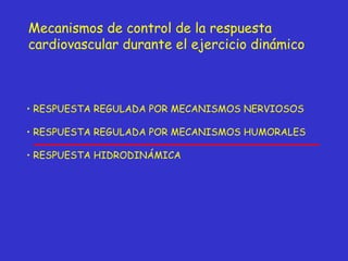 Mecanismos de control de la respuesta  cardiovascular durante el ejercicio dinámico RESPUESTA REGULADA POR MECANISMOS NERVIOSOS RESPUESTA REGULADA POR MECANISMOS HUMORALES RESPUESTA HIDRODINÁMICA  