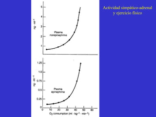 Actividad simpático-adrenal y ejercicio físico 
