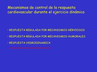 Mecanismos de control de la respuesta  cardiovascular durante el ejercicio dinámico RESPUESTA REGULADA POR MECANISMOS NERVIOSOS RESPUESTA REGULADA POR MECANISMOS HUMORALES RESPUESTA HIDRODINAMICA  