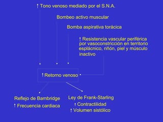 Tono venoso mediado por el S.N.A. Bombeo activo muscular Bomba aspirativa torácica Resistencia vascular periférica por vasoconstricción en territorio esplácnico, riñón, piel y músculo inactivo Retorno venoso Reflejo de Bambridge Frecuencia cardiaca Ley de Frank-Starling Contractilidad Volumen sistólico 