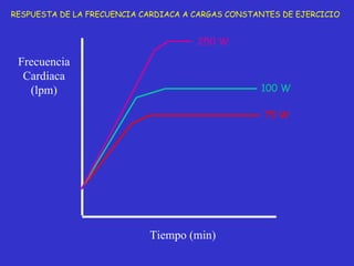 Tiempo (min) Frecuencia Cardiaca (lpm) 75 W 100 W RESPUESTA DE LA FRECUENCIA CARDIACA A CARGAS CONSTANTES DE EJERCICIO 50 W 250 W 