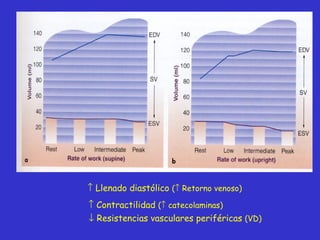    Llenado diastólico  (   Retorno venoso)    Contractilidad  (   catecolaminas)    Resistencias vasculares periféricas  (VD) 