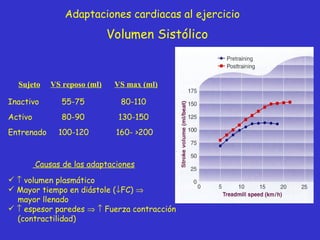 Volumen Sistólico Adaptaciones cardiacas al ejercicio Causas de las adaptaciones Sujeto VS reposo (ml) VS max (ml) Inactivo   55-75   80-110 Activo   80-90   130-150 Entrenado  100-120   160- >200    volumen plasmático Mayor tiempo en diástole (  FC)   mayor llenado    espesor paredes       Fuerza contracción (contractilidad) 