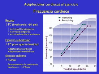 Frecuencia cardiaca Adaptaciones cardiacas al ejercicio Reposo    FC ( bradicardia: <60 lpm ) Actividad Parasimpática Actividad Simpática Actividad cardiaca intrínseca Ejercicio submáximo    FC para igual intensidad Adaptaciones cardiacas Adaptaciones metabólicas Ejercicio máximo = FCmax Entrenamiento de resistencia aeróbica       FCmax 
