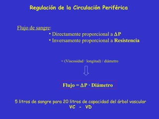 Regulación de la Circulación Periférica Flujo de sangre :  Directamente proporcional a   P Inversamente proporcional a  Resistencia = (Viscosidad · longitud) / diámetro Flujo =   P · Diámetro  5 litros de sangre para 20 litros de capacidad del árbol vascular VC  -  VD 