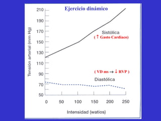 Ejercicio dinámico (    Gasto Cardiaco) ( VD ms       RVP ) 