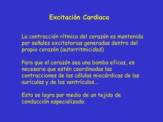 Excitación Cardiaca La contracción rítmica del corazón es mantenida por señales excitatorias generadas dentro del propio corazón (autorritmicidad) Para que el corazón sea una bomba eficaz, es necesario que estén coordinadas las contracciones de las células miocárdicas de las aurículas y de los ventrículos... Esto se logra por medio de un tejido de conducción especializado.  